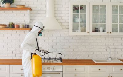 Breathe Easy All Season With Reliable Odor Removal Services for Your Home