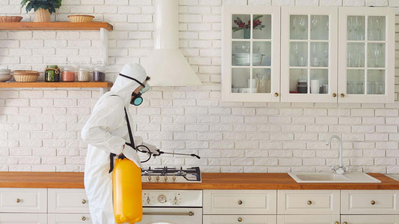 Technician using protective gear to perform odor removal services in a residential kitchen.