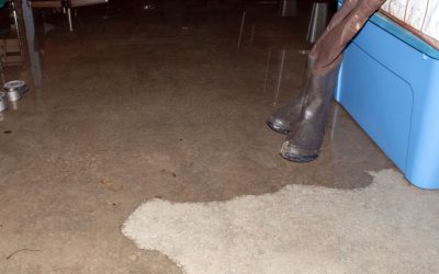 From Flooded Floors to Dry Comfort with Flood Damage Restoration You Can Trust