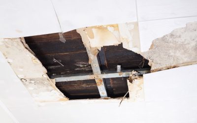 The Essential Guide to Water Damage Restoration Services in Boston