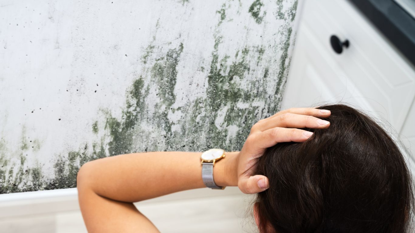 Hidden mold discovered