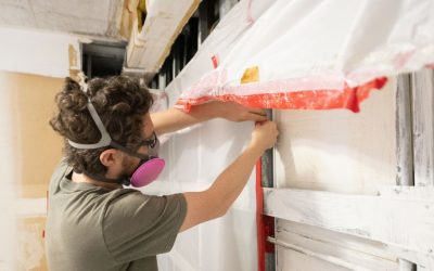 Real Ways Mold Remediation Services in Boston Protect Your Space This Season