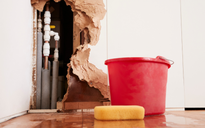 Emergency Water Damage Restoration in Needham, MA: Fast Action for Your Home