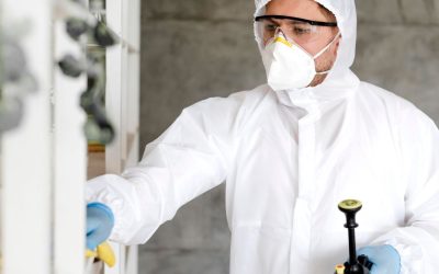 5 Tips for Successful Mold Inspections