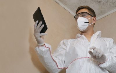Exploring the Advantages of Local Mold Inspections