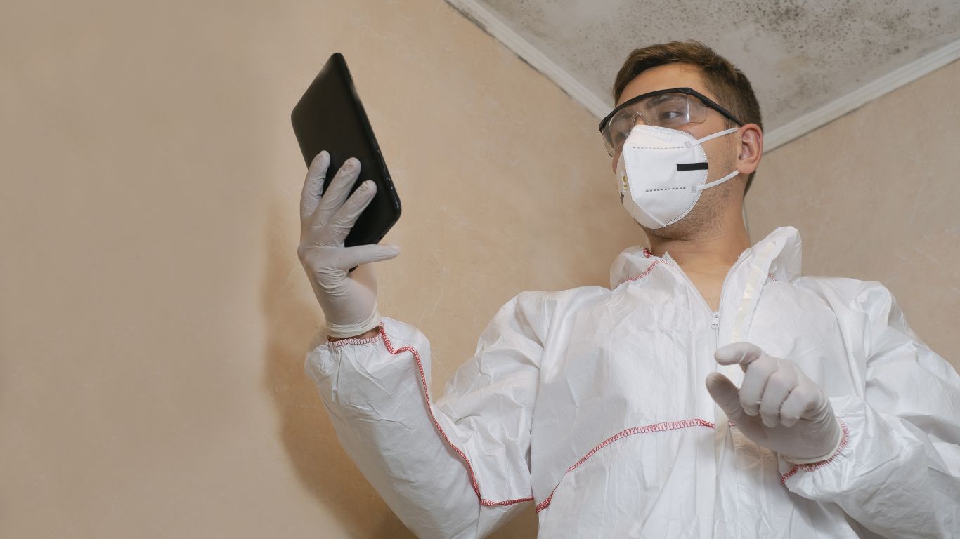 mold inspectors holding documents