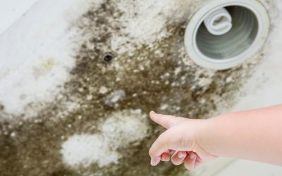 What Are the Most Common Places for Mold Growth?