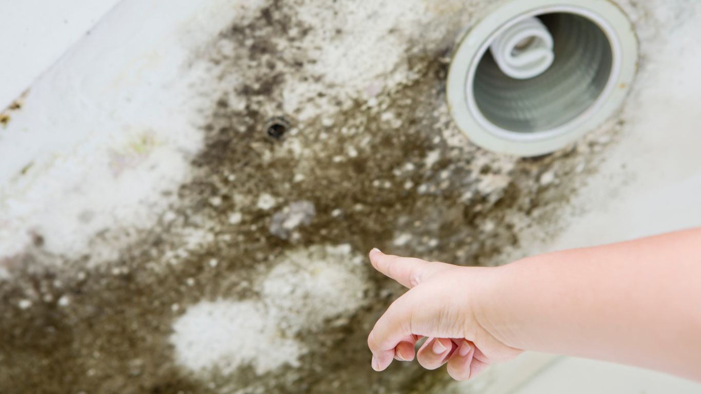 man pointing out a black mold growth