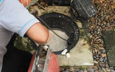 How Delays in Sewage Cleanup Lead to Bigger Problems for Your Home