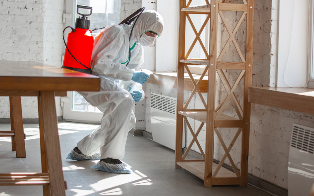 How Professional Odor Removal Improves Your Living Environment