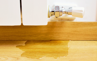 How Water Leak Detection Can Save You Thousands