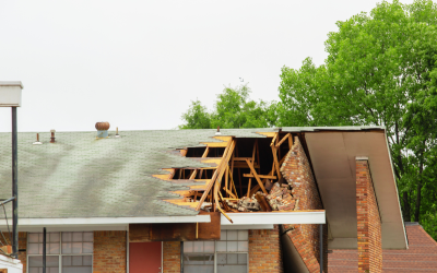 The Secret to Bouncing Back Faster After a Storm