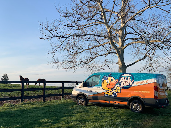 All Dry Mold and Water Damage Truck - mold removal and remediation