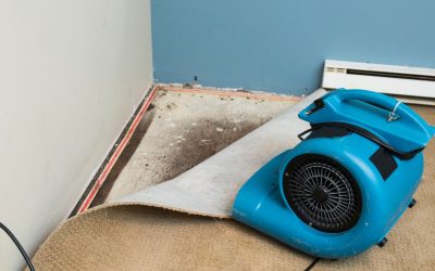 Flood Damage Restoration Experts Making Nashville Homes Feel Whole Again