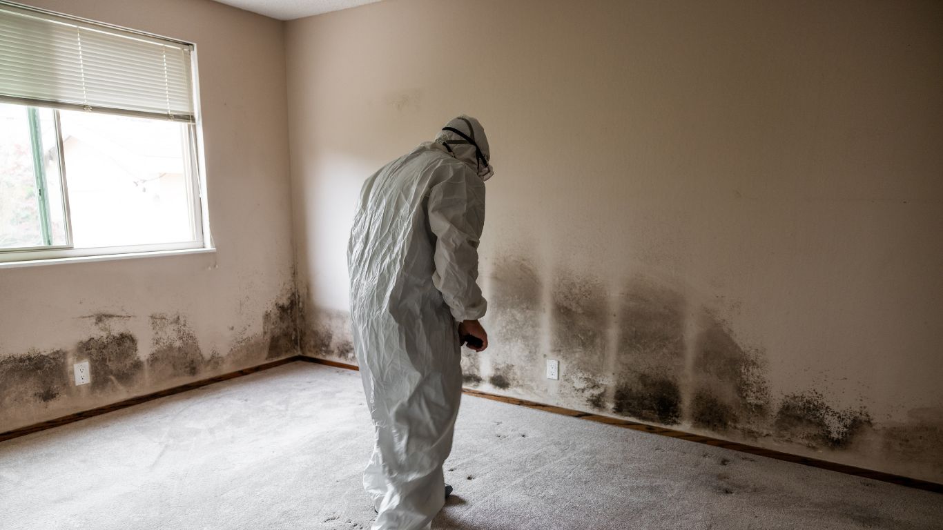 Mold remediation in Nashville cleaning a room with visible mold on the walls.
