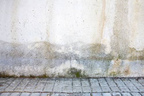 water damage on the side of a building