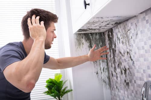 man finding mold on the wall