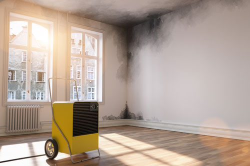 dehumidifier