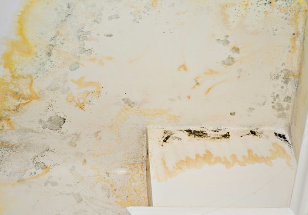 closeup shot damaged ceiling - grosse pointe restoration services