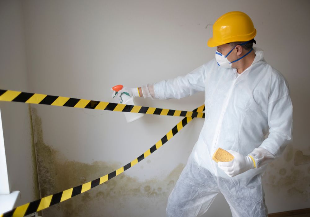 mold removal expert discussing effects of mold - clinton mold removal and remediation