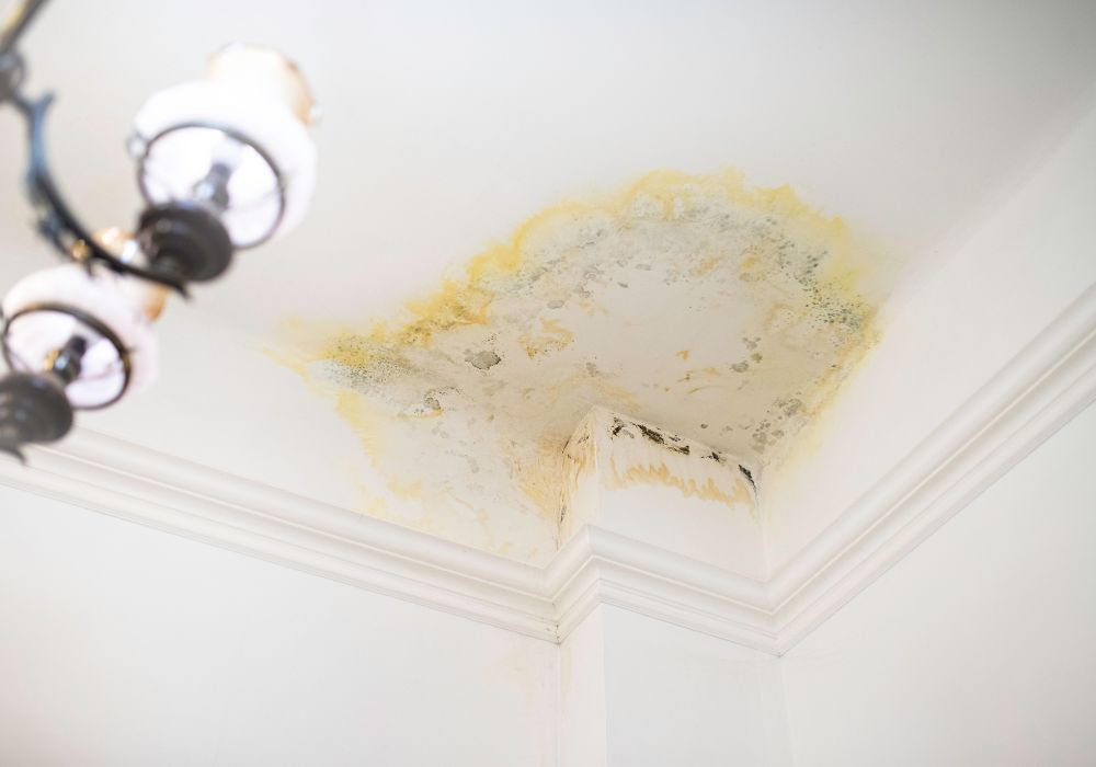 stain ceiling from flooding - grosse pointe water damage restoration