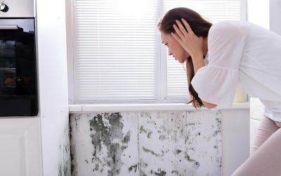 The Health Risks of Ignoring Water Damage