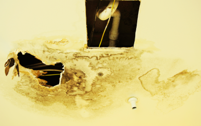 The Fastest Way to Recover From Unexpected Water Damage