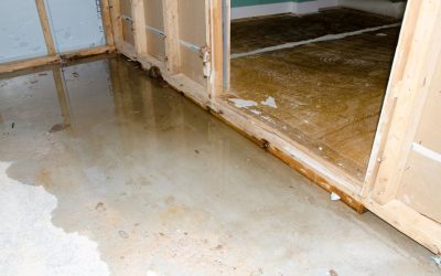 Stop the Drip & Get Back to Dry with Water Damage Restoration