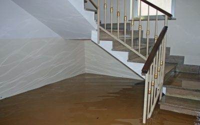 Flood Damage Restoration That Gets You Dry and Back on Track