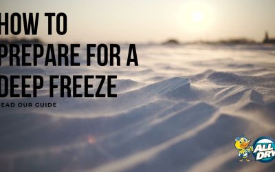 How to Prepare For A Deep Freeze