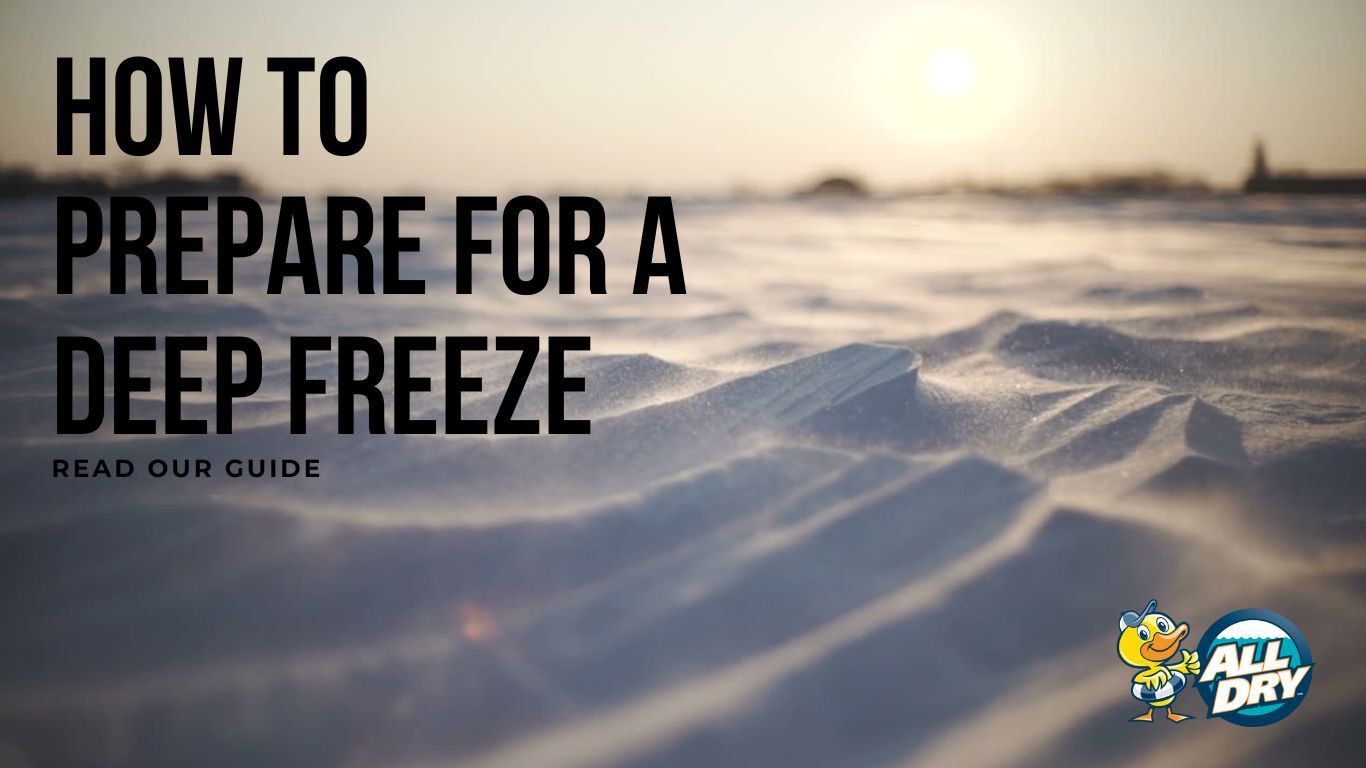 Deep Freeze