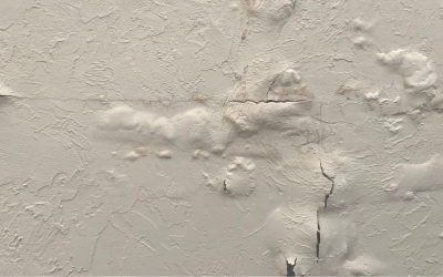 Water Damage Restoration in Balch Springs for Fast Emergency Response