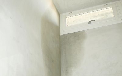 Leak Detection in Metro South Texas for Hidden Water Damage