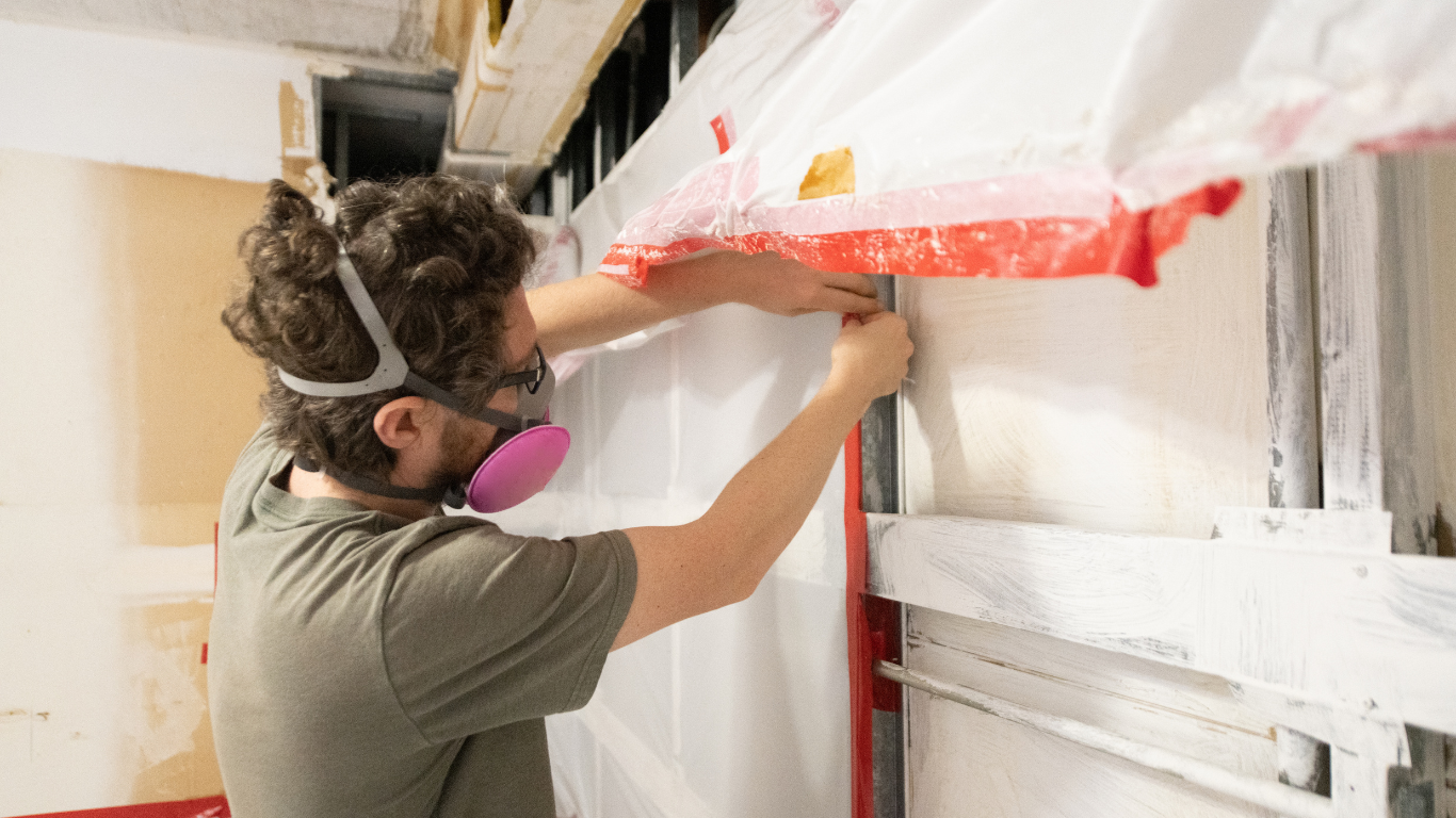 mold remediation guidelines