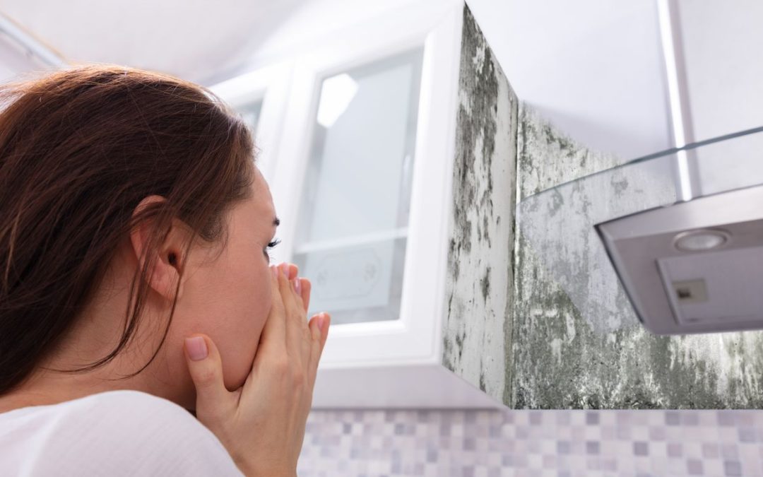 Mold vs. Mildew: How to Identify and Treat Fungal Growth in Your Miami Property