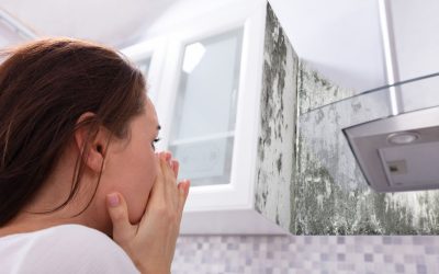 Mold vs. Mildew: How to Identify and Treat Fungal Growth in Your Miami Property