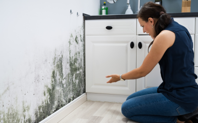 The Health Risks of Toxic Mold: Why Miami Residents Shouldn’t Ignore These Signs