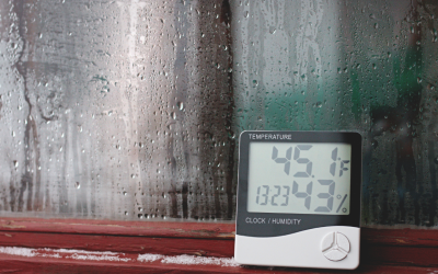 The Impact of Florida’s Humidity on Indoor Mold Growth