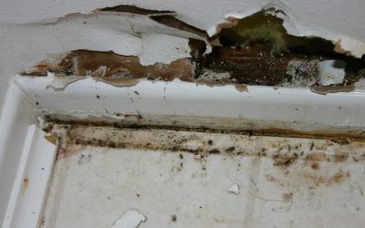 Late Night Leaks Meet Their Match With Water Damage Restoration in Miami