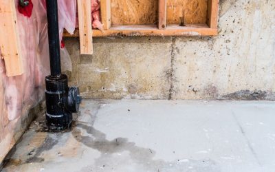 Avoid Soggy Surprises with Expert Leak Detection in Miami