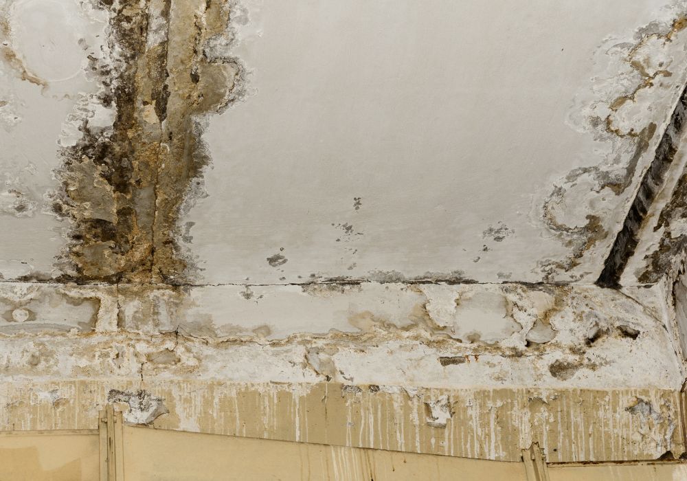 consequences water damage leaking roof - sterling heights water damage restoration