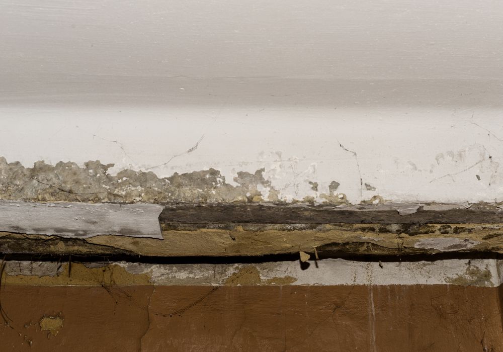 water damage leaking roof - clinton water damage restoration