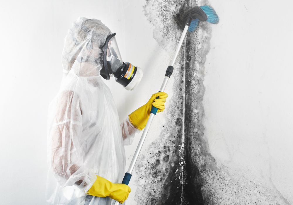 professional scrubbing wall - grosse pointe mold removal and remediation