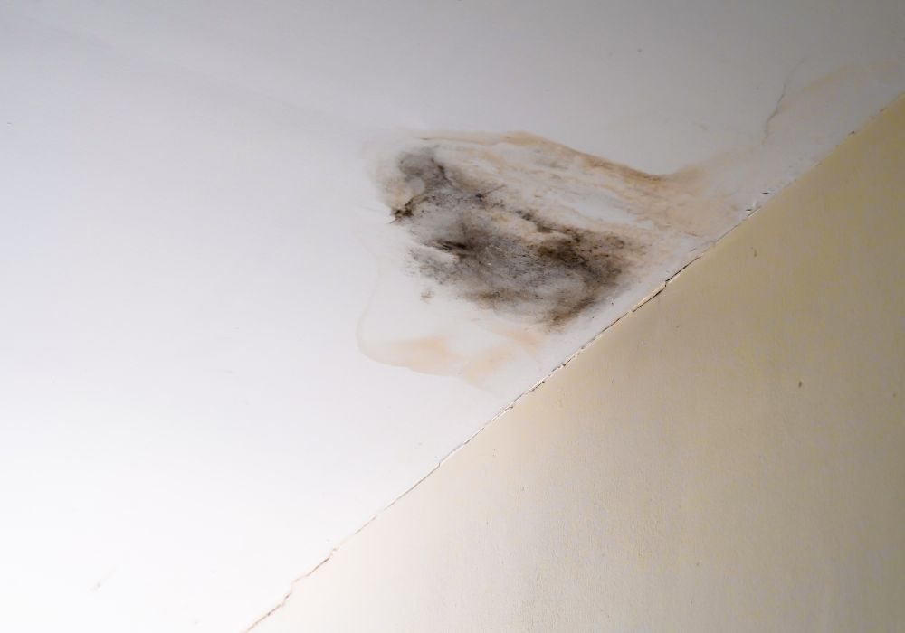 water damaged ceiling roof brown stain - water damage restoration