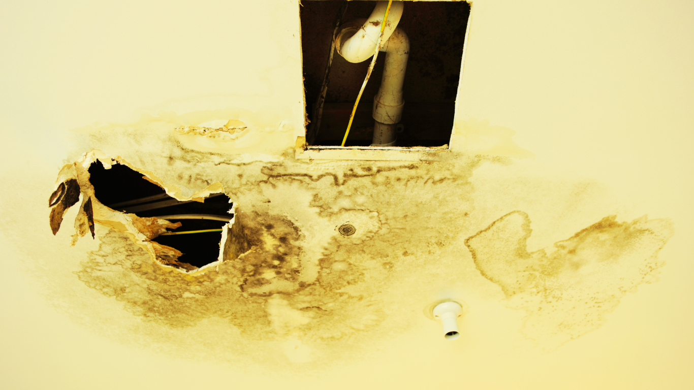 The Fastest Way to Recover From Unexpected Water Damage