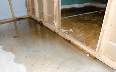 Say Goodbye To Soaked Spaces With Smart Flood Damage Restoration