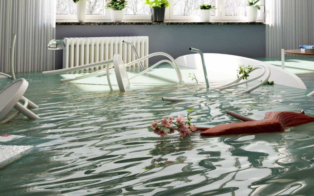 A Step-by-Step Flood Damage Restoration Guide for Homeowners in Chalmette, LA