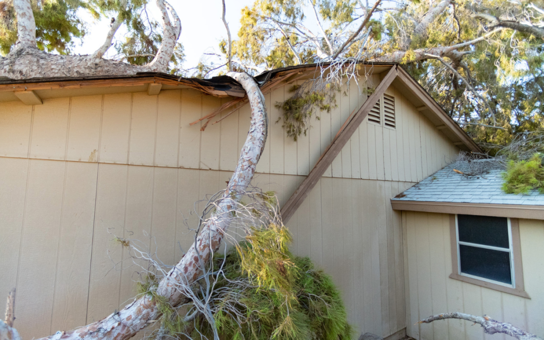 Emergency Cleanup Checklist for Storm Damage Restoration in New Orleans After Hurricanes and Severe Weather