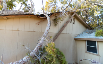 Emergency Cleanup Checklist for Storm Damage Restoration in New Orleans After Hurricanes and Severe Weather