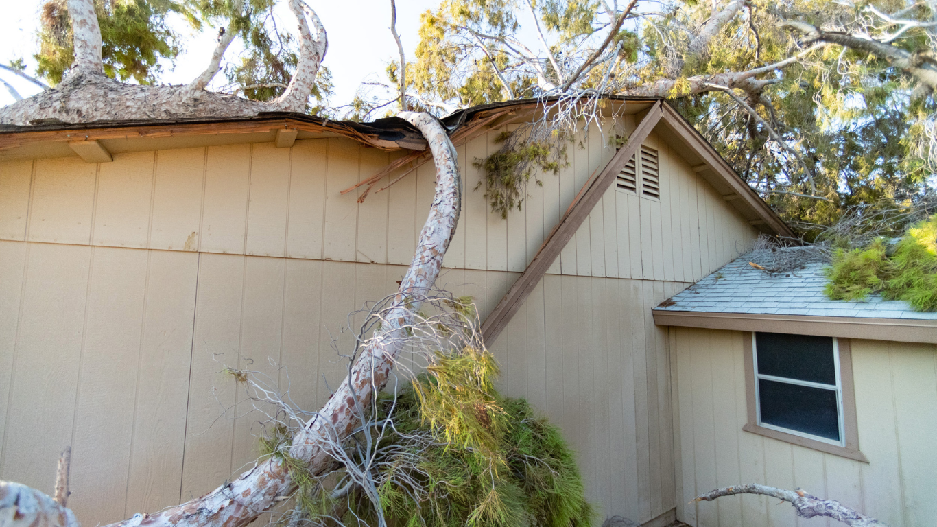 storm damage restoration